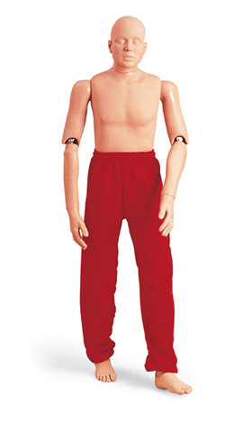 ����ģ�ͣ�167cm/25kg