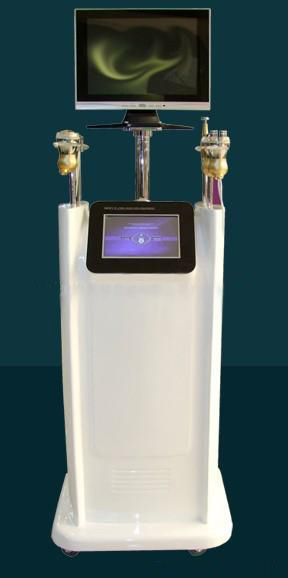 ��������&ϸ��͸������������