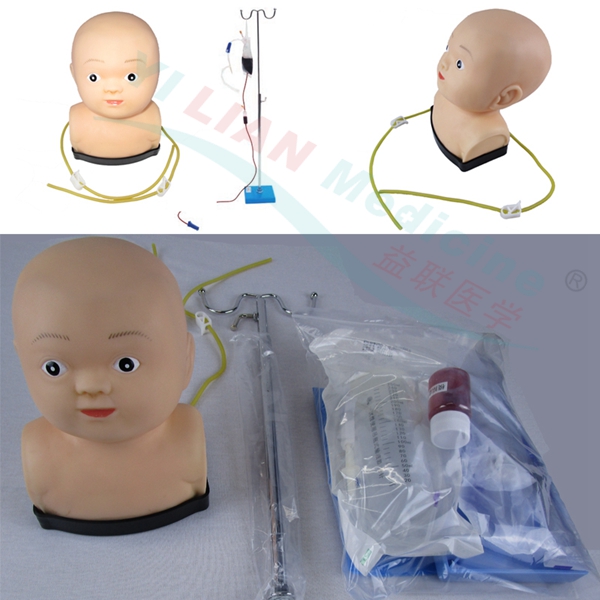 �߼�Ӥ��ͷ���ۺϾ�������ģ��