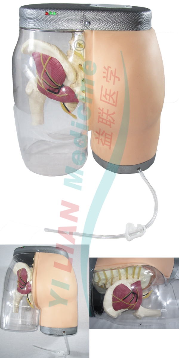 �߼��β�����ע�估�Ա�ģ��